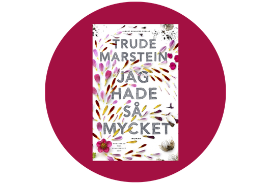 Jag hade s&aring; mycket av Trude Marstein