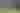 Andy Murray at the Wimbledon Championships in 2015