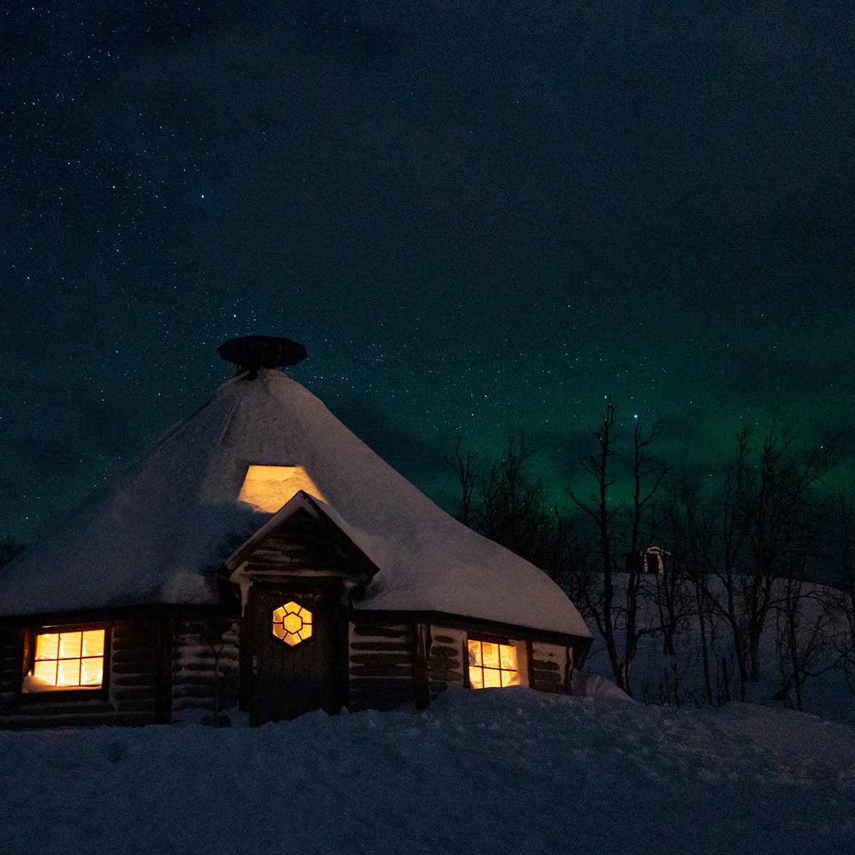 Rakkask&aring;tan under stj&auml;rnklar himmel och norrsken