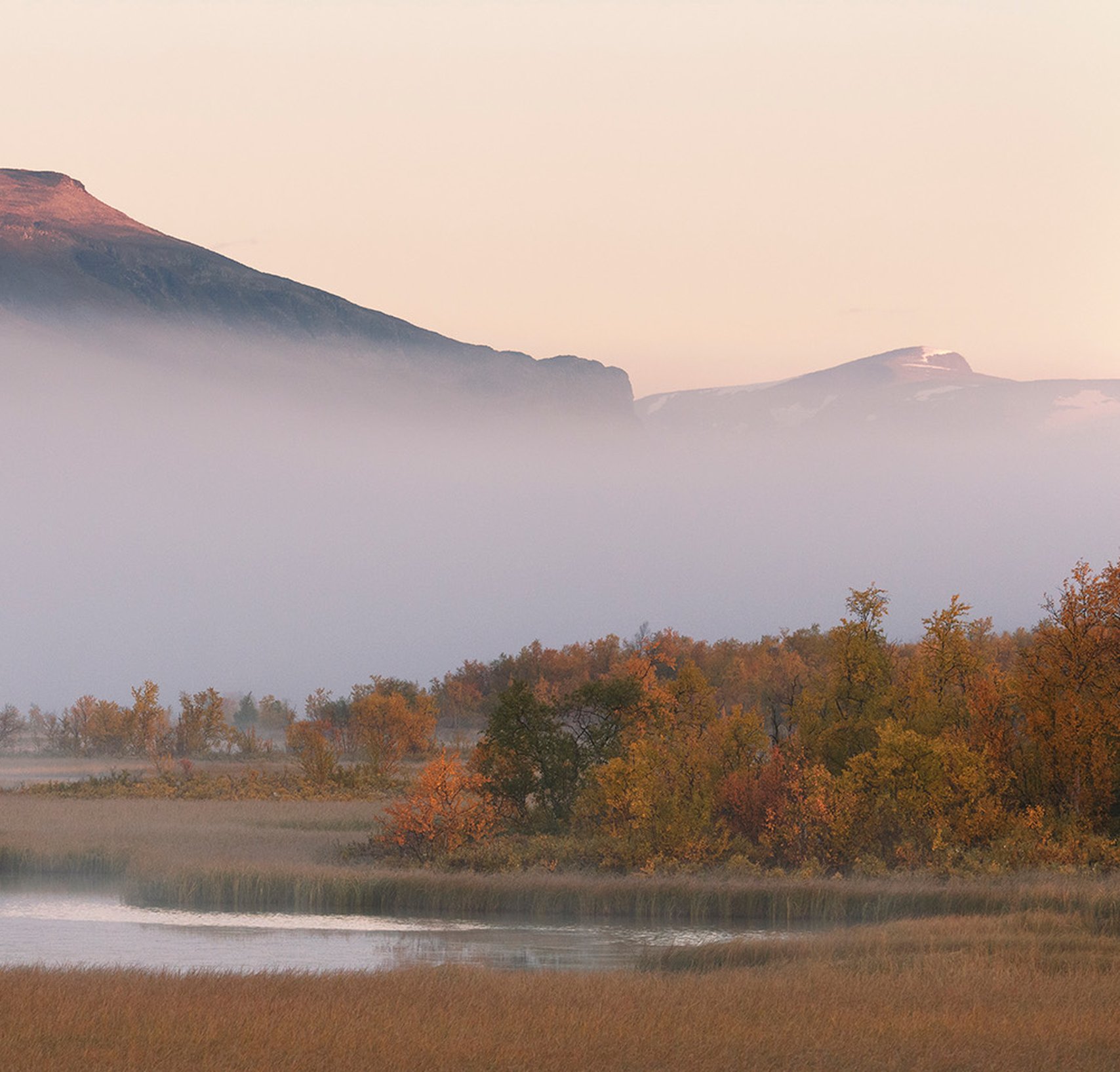 Naturfoto höst i Kiruna med Scandinavian Photoadventures
