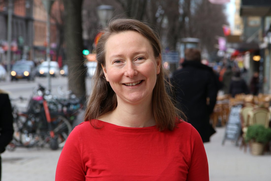 Experterna: Här vårens boksnackisar