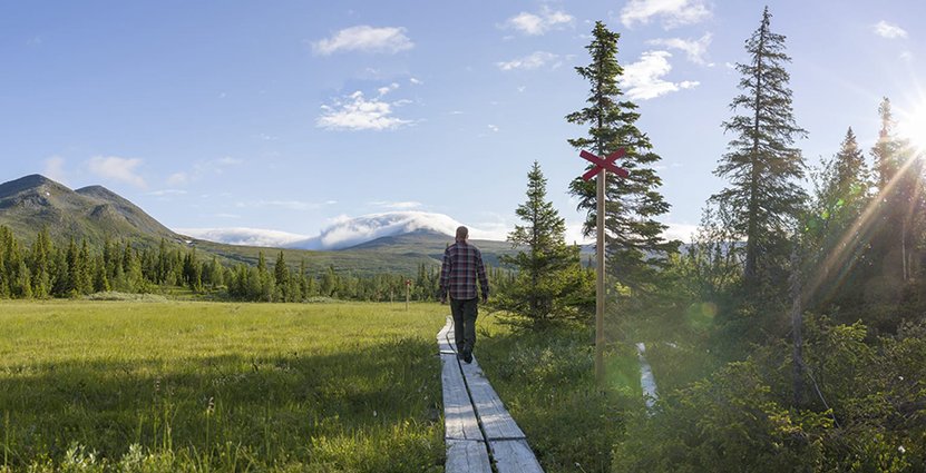 Region Västerbotten har beviljats miljonstöd från Europeiska regionalfonden. 