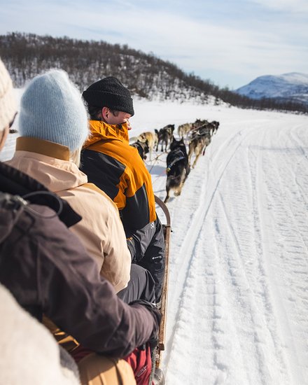 en grupp p&aring; hundpsannstur p&aring; ett soligt Tornetr&auml;sk
