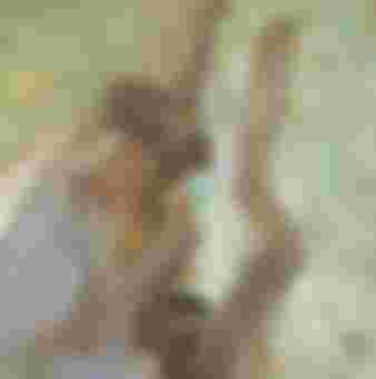 Nikolaos Gyzis, a 19th Century painter, depicts Sappho playing the lyre.