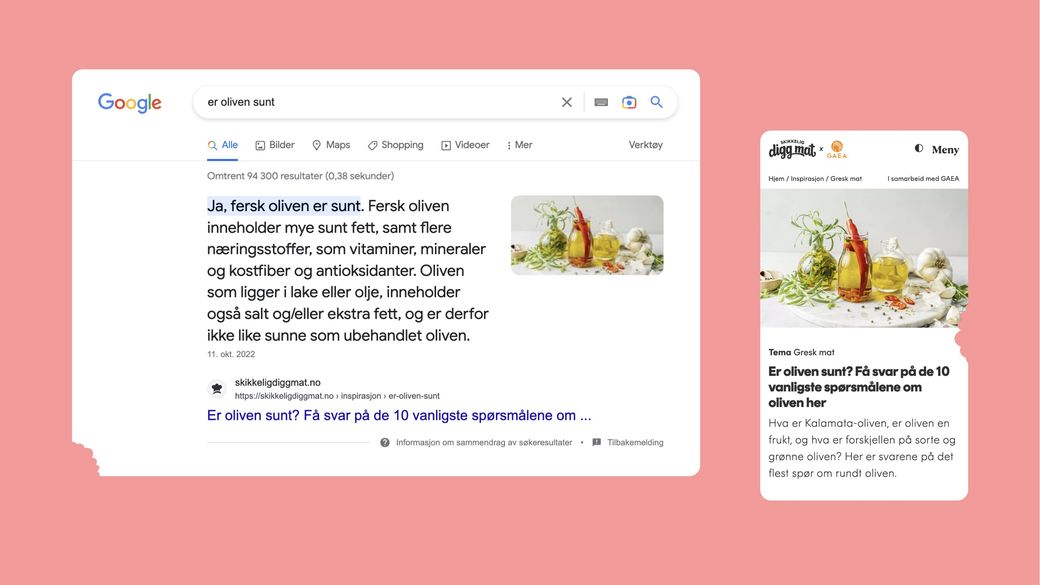 skisse-sdm-case google.jpg