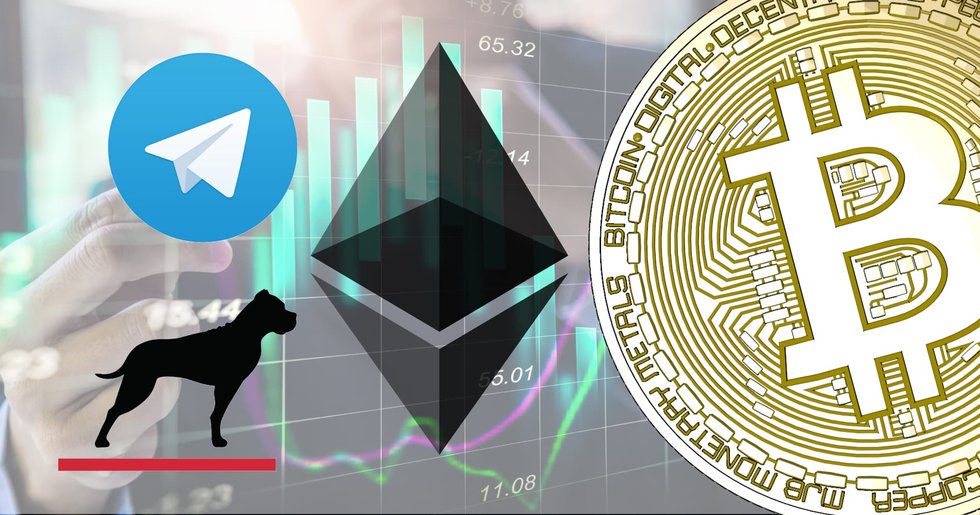 The crypto markets continue up.
