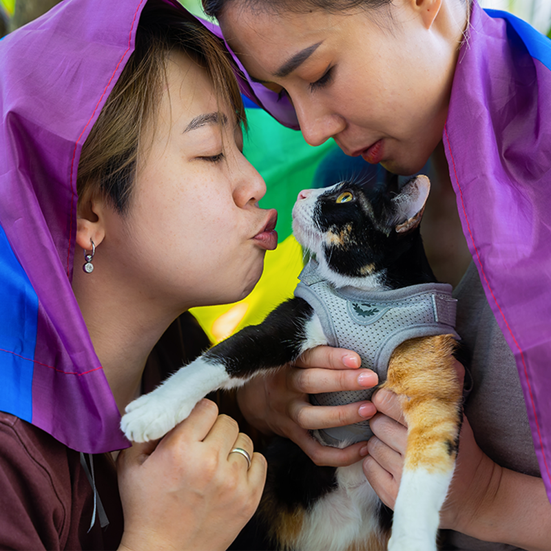 Boktips! — 9 romantiska HBTQI-romaner