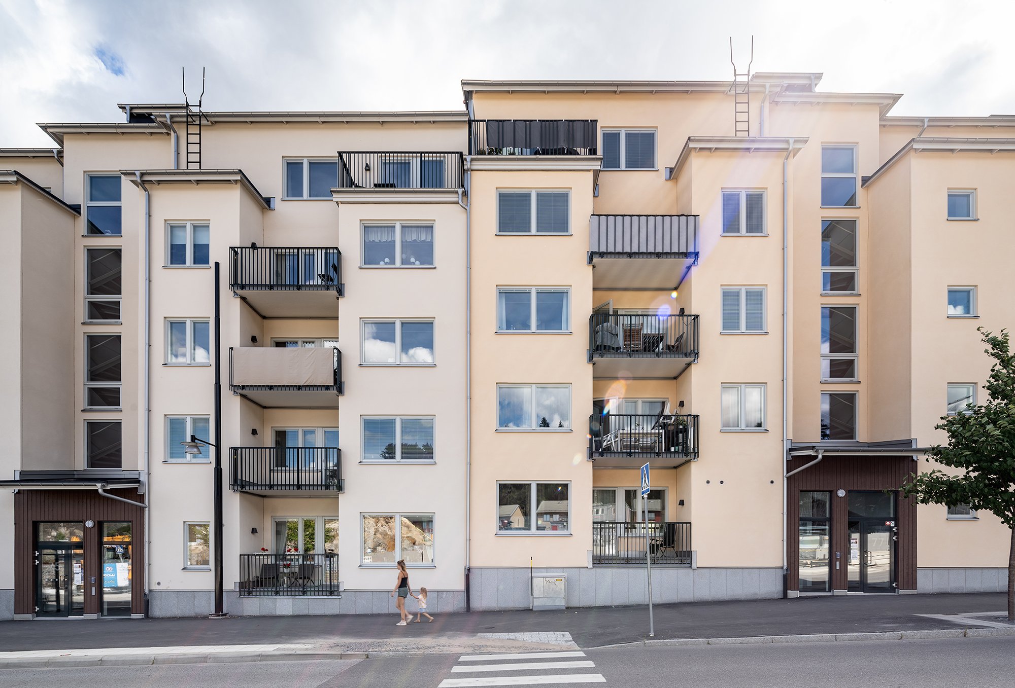 Skogsstjärnan, bild 5 av 7