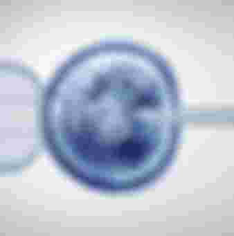 Genetic editing and gene research in vitro. Credit: Brain light / Alamy Stock Photo.