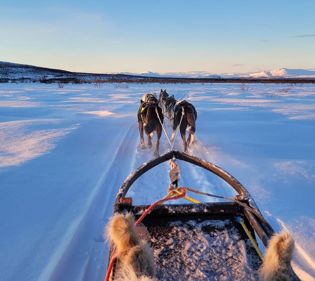 Husky dreams lunchtur