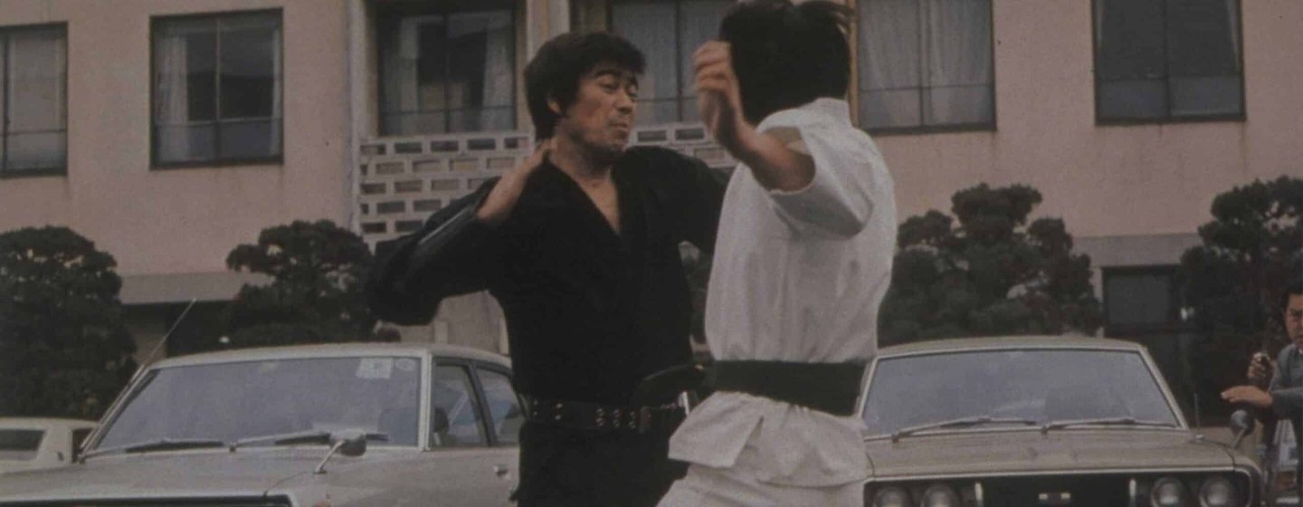 Streetfighter’s Last Revenge, The