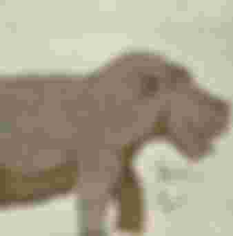 hippopotamus by jesuit in china flora and fauna