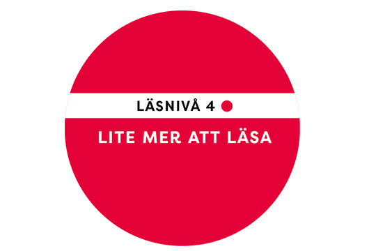 L&auml;sniv&aring; 4 &bull; Lite mer att l&auml;sa