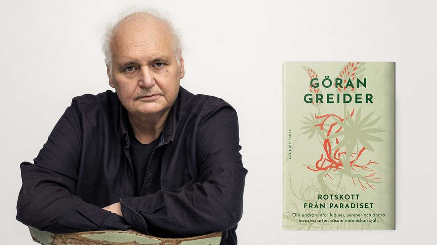 Trädgården som politiskt slagfält: invasiva växter i nytt ljus