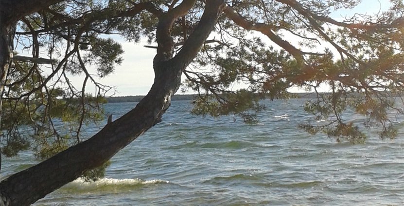 Nya nationalparken kan locka till Bästeträsk på norra Gotland. 