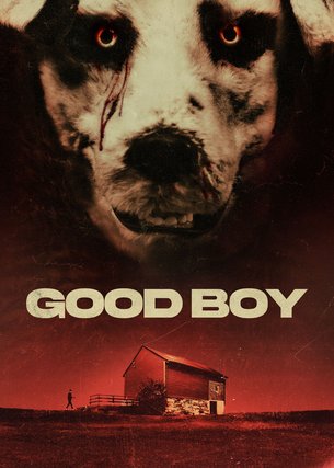 Good Boy