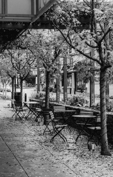 Heba - en tryggare värd