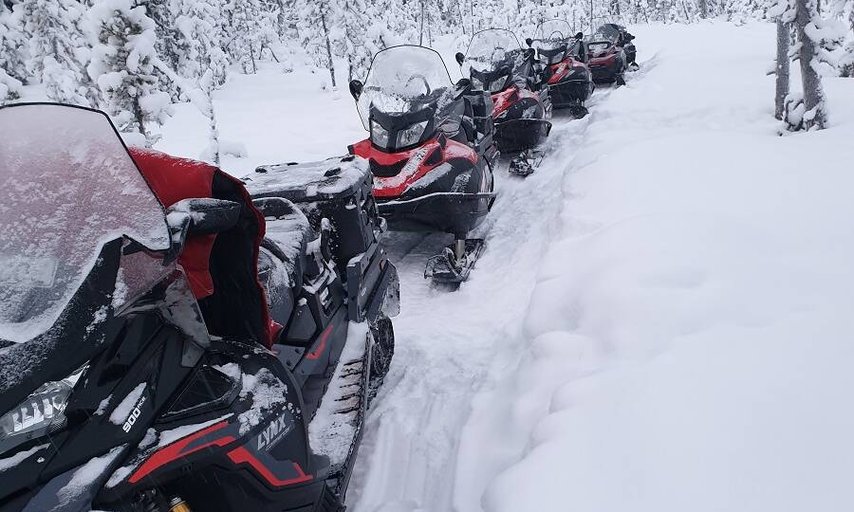 Skotertur med Arctic dogsled adventure