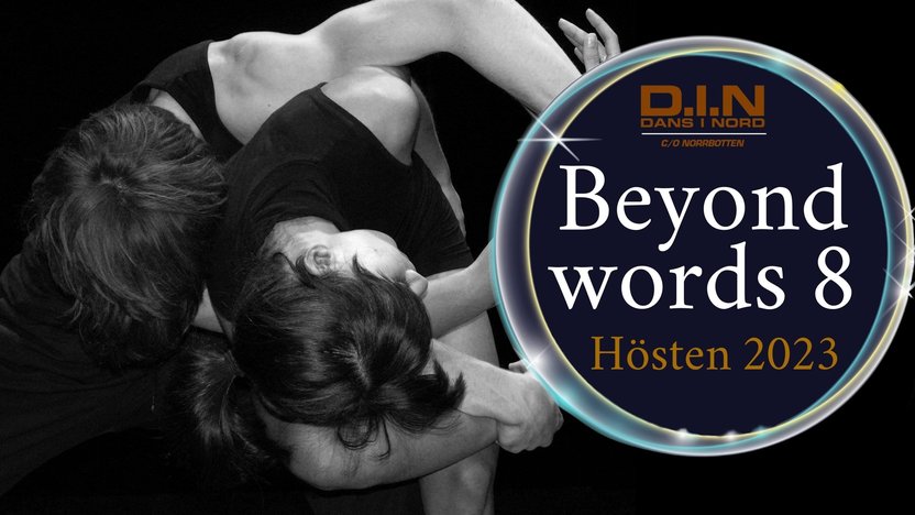 BeyondWords8_Nyhet