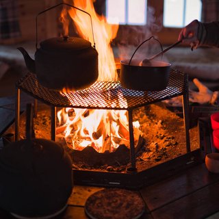 Skotertur med Arctic dogsled adventure