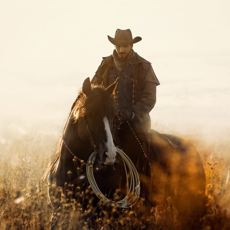 Howdy stranger! 5 riktigt bra västernskildringar