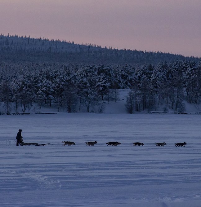 Hundspann Jukkasjärvi