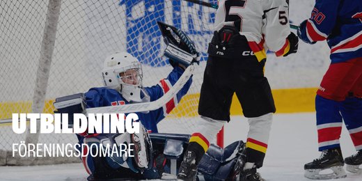 Utbildning - Föreningsdomare