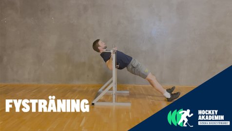 Fysövning: Hängande rodd