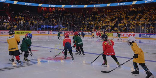 Vad är det som gör ishockeyn rolig?