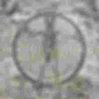 This chart is taken from the book 'Ars Magna Lucis Et Umbrae' which was published in 1646 by the Jesuit scientist and inventor, Athanasius Kircher (1602-1680).