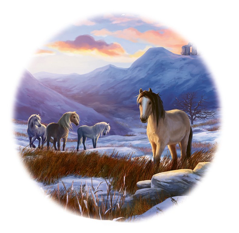 Läs hästboken 500 000 spelande barn längtar efter