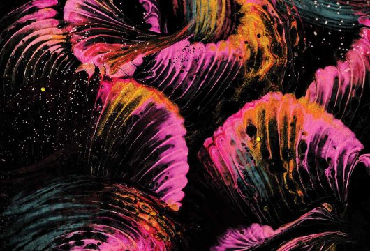 Albert Bonniers F&ouml;rlag sommarens b&ouml;cker 2026