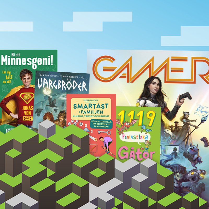 5 böcker för små Minecraft-älskare