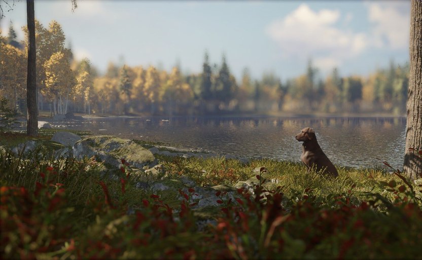 theHunter: Call of the Wild Update 1.72 Out for New England Hotfix This  Dec. 15