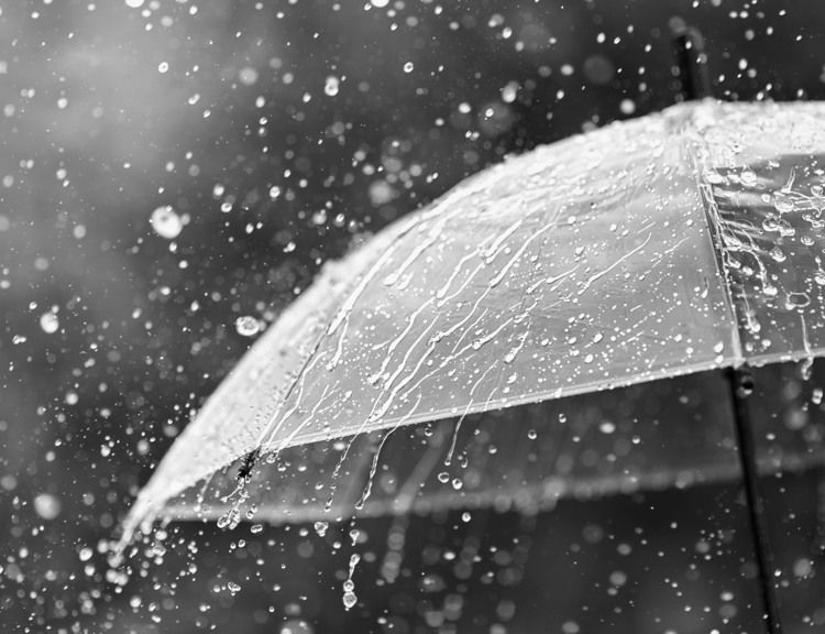 Heba en tryggare värd