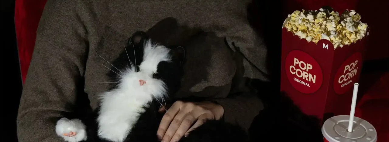 Filmstaden lånar ut robotkatter till biobesökare när svenska skräckfilmen når bioduken