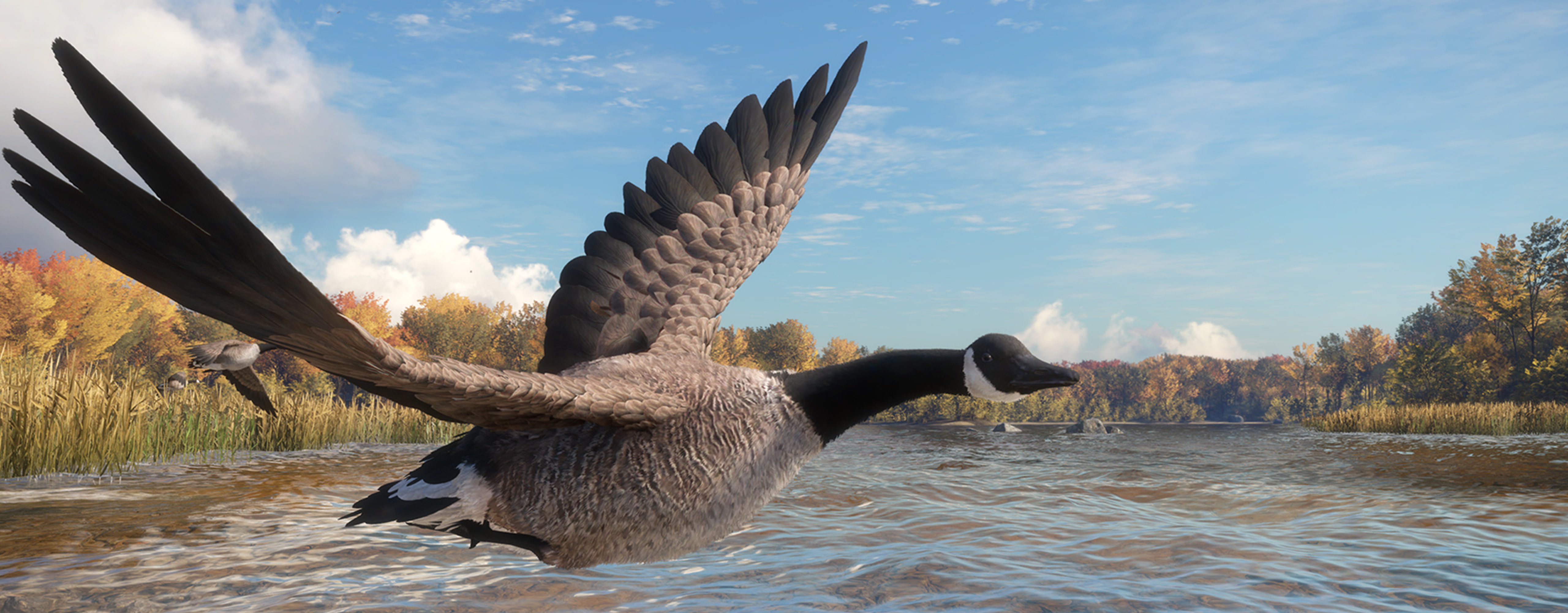 An image of a duck flying just above the water as part of the waterfowl rework in theHunter: Call of the Wild