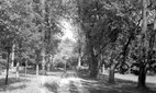 The Old Manse at Concord, Massachusetts.