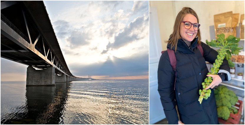 Foto: Region Skåne © Leif Johansson Öresundsbron och Sofie Broomé, Visit Skåne.  