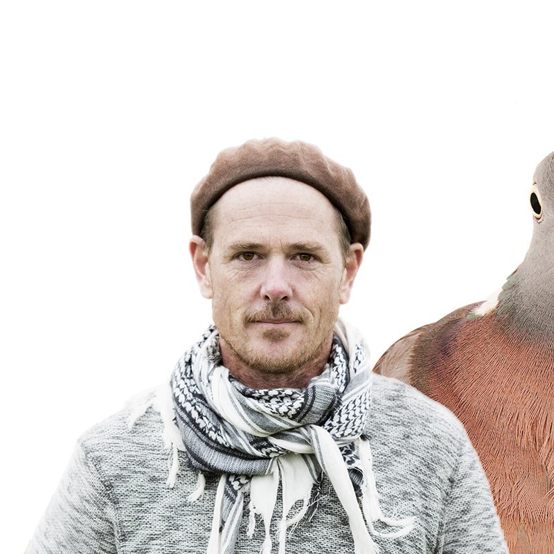 Våra närmaste fåglar som du aldrig mött dem förut
