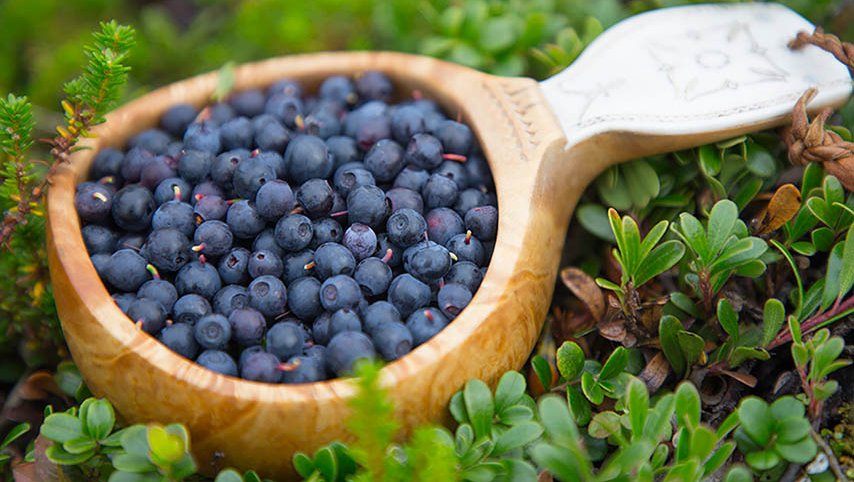 Blåbär i kåsa