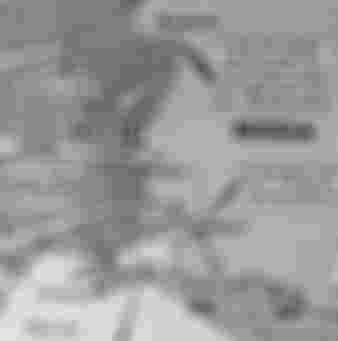 This map of Russia and surrounding countries highlights Hitler's campaign in Russia and how it went wrong.