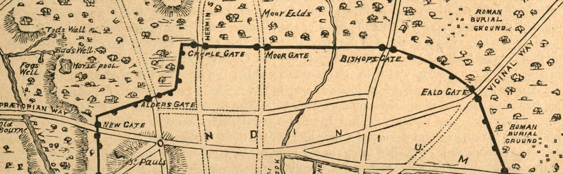 Ax:son Johnson Institute