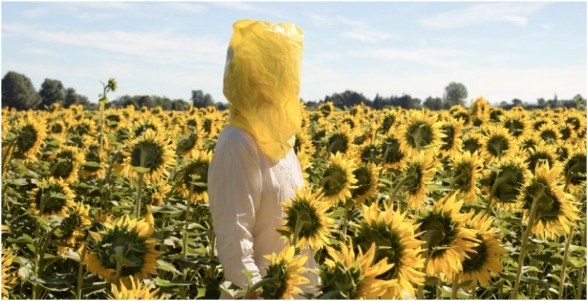 Elina Brotherus, Portrait Series (Gelbe Musik with Sunflowers) 