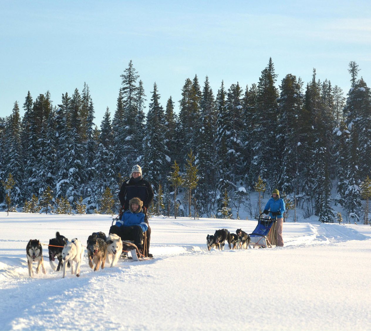 Husky Tours Lapland