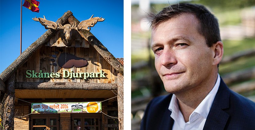 Skånes Djurparks omsättning har ökat med 20 procent. 