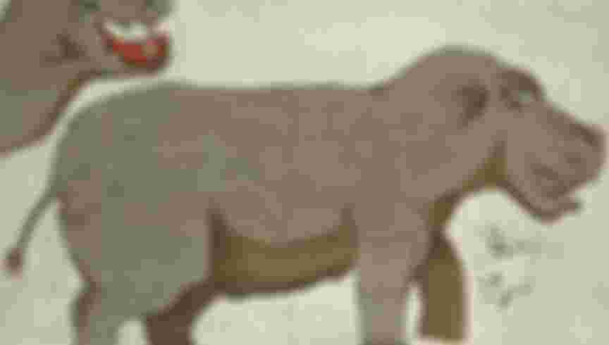 hippopotamus by jesuit in china flora and fauna