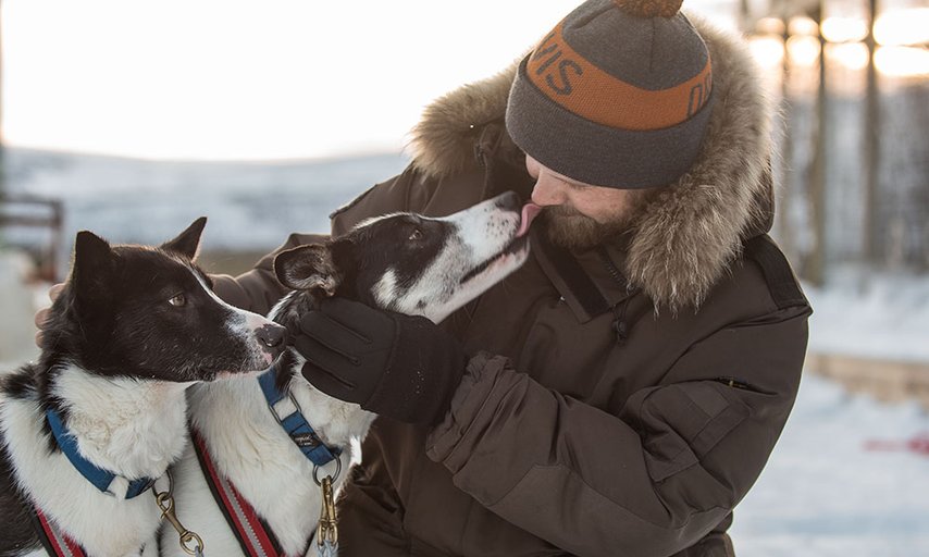 Hundspann i Kiruna med Husky Home