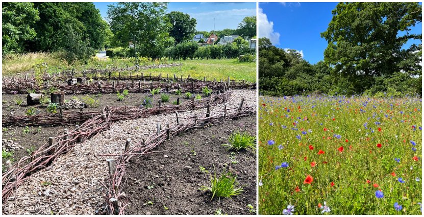 Nyttodjurparken på Kiviks Musteri ska visa hur den biologisk mångfalden kan stöttas.  Foto: Pressbilder