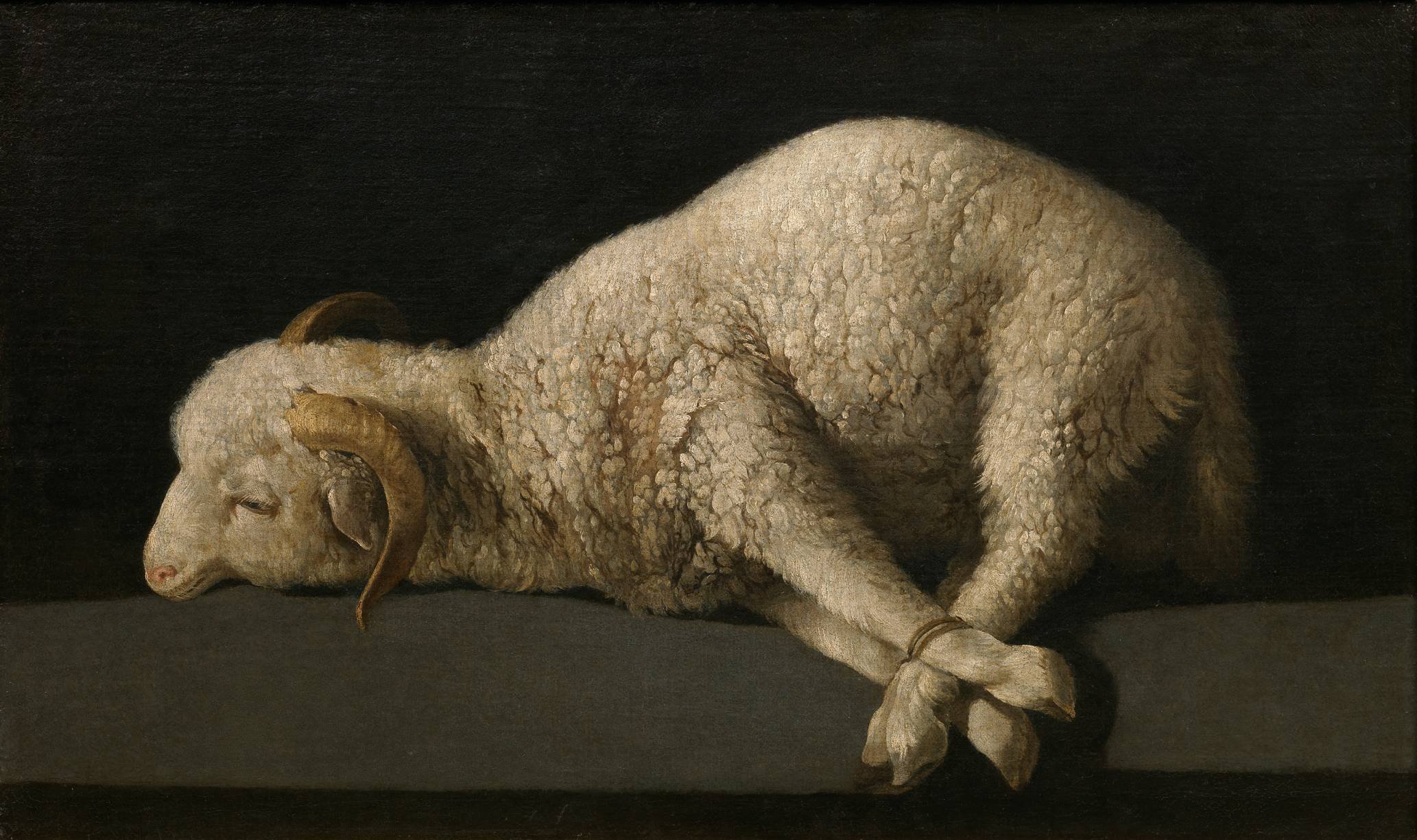 Agnus Dei by Francisco de Zurbarán in the Museo del Prado. Credit: Wikimedia Commons